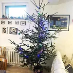 Istebna715 * Istebna