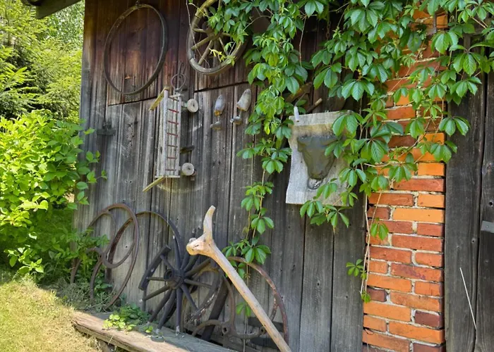 בית חווה Istebna715